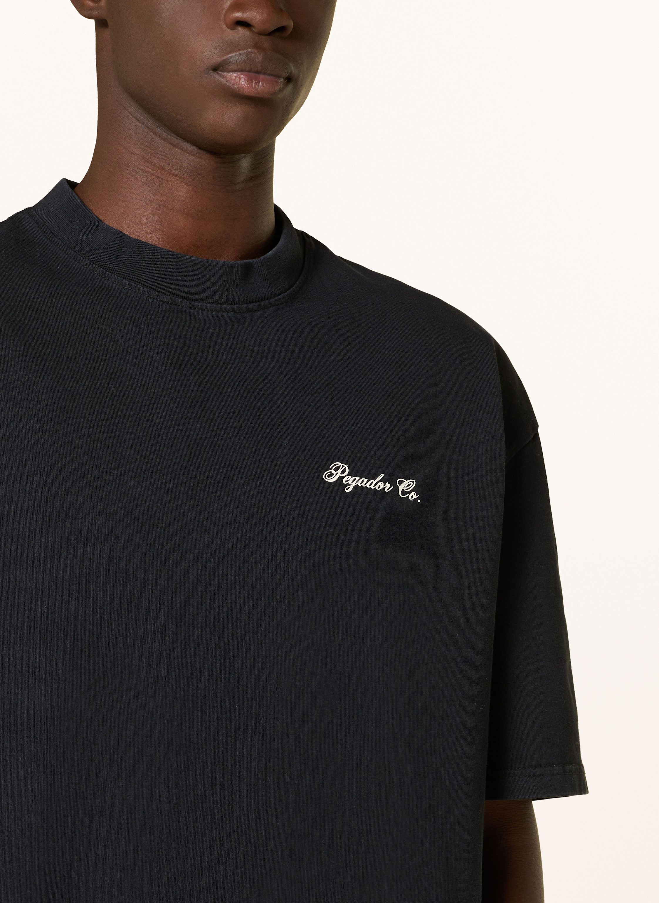 Thumbnail - Pegador T-Shirt Dalzel schwarz