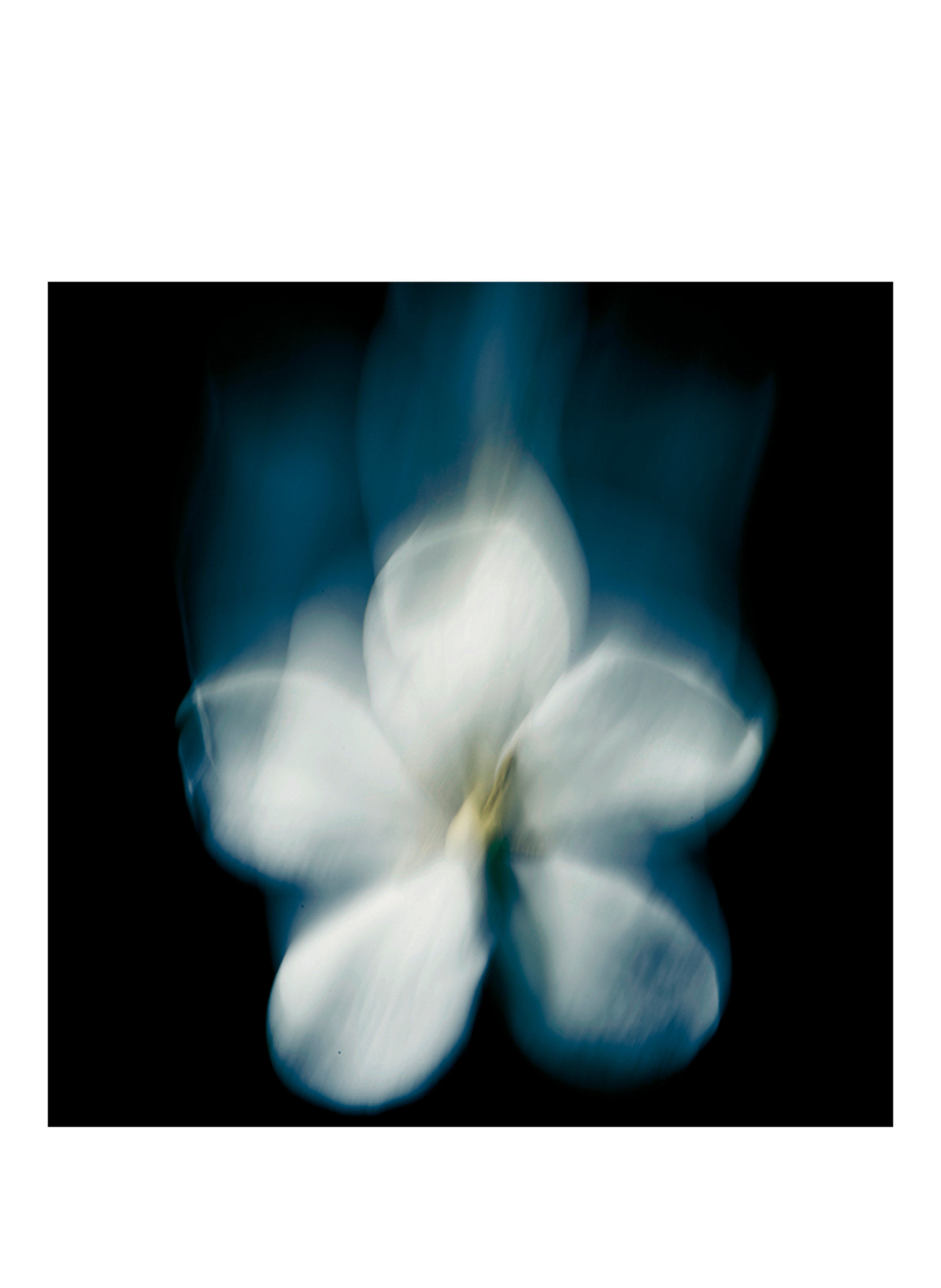 Thumbnail - Maison Crivelli Patchouli Magnetik Extrait de Parfum 50 ml