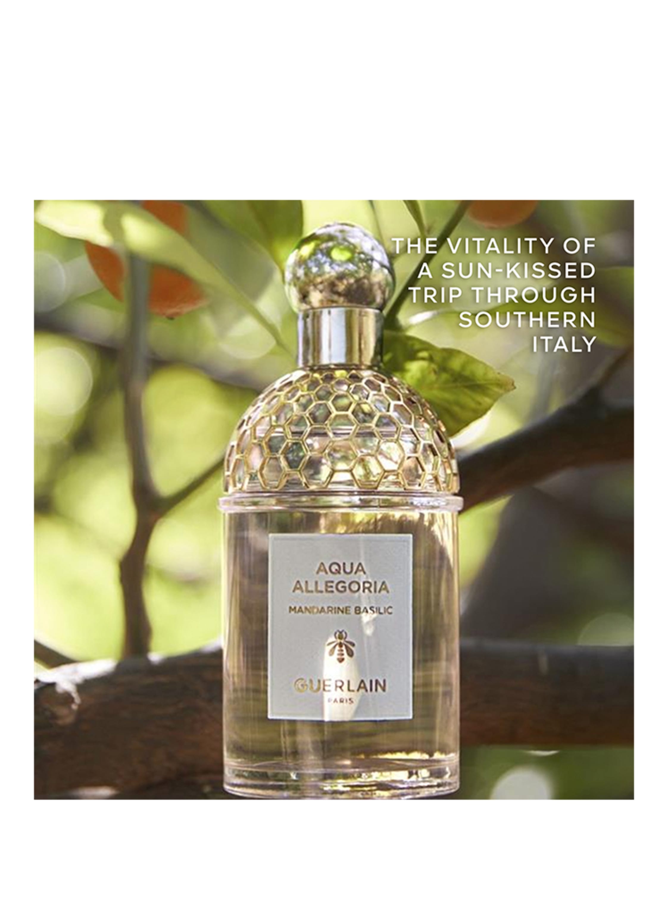 Thumbnail - Guerlain Aqua Allegoria Mandarine Basilic Eau de Toilette 40 ml