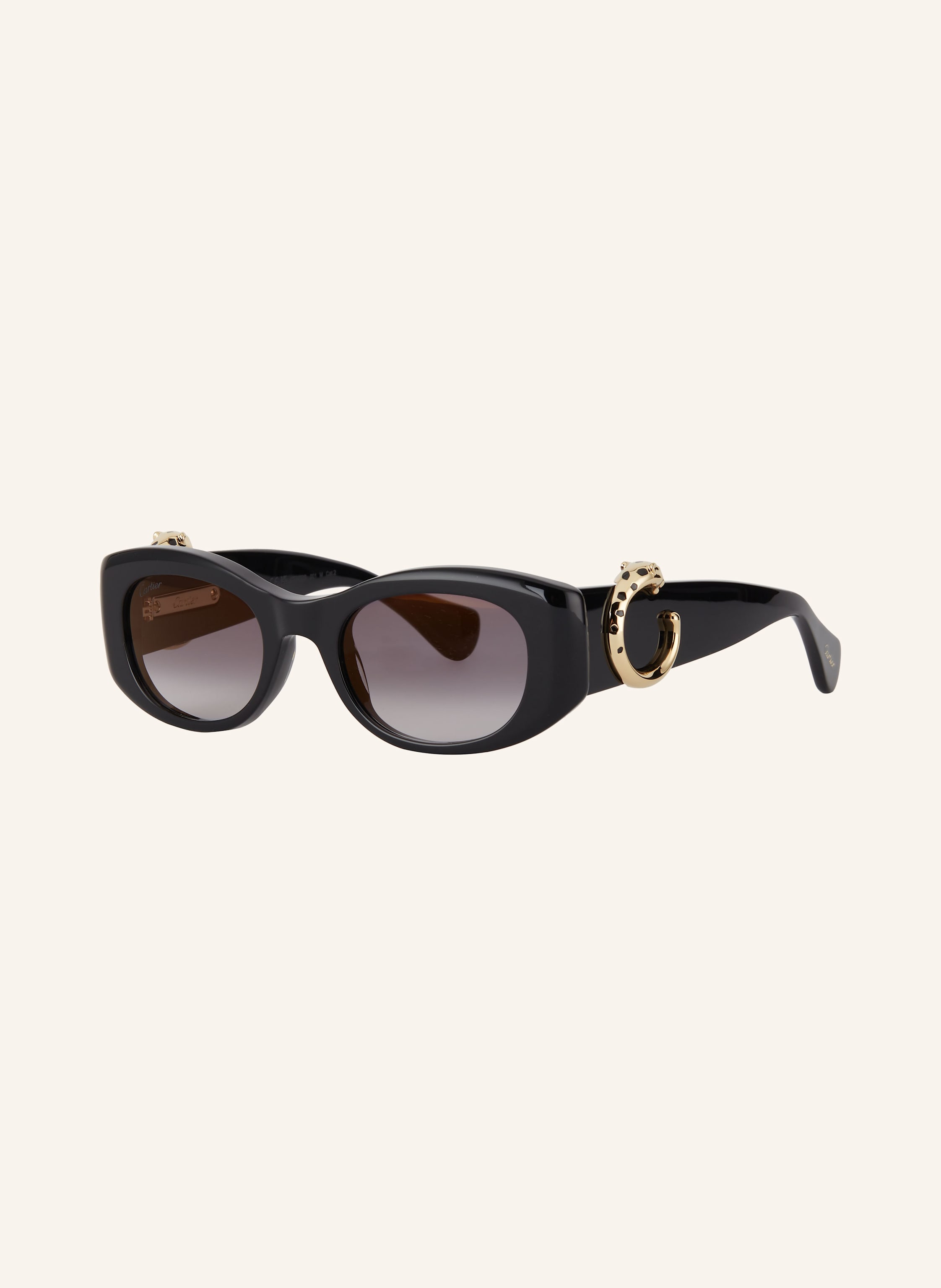 Cartier Cartier Sonnenbrille 6L001733 schwarz in 1100L1 - SCHWARZ
