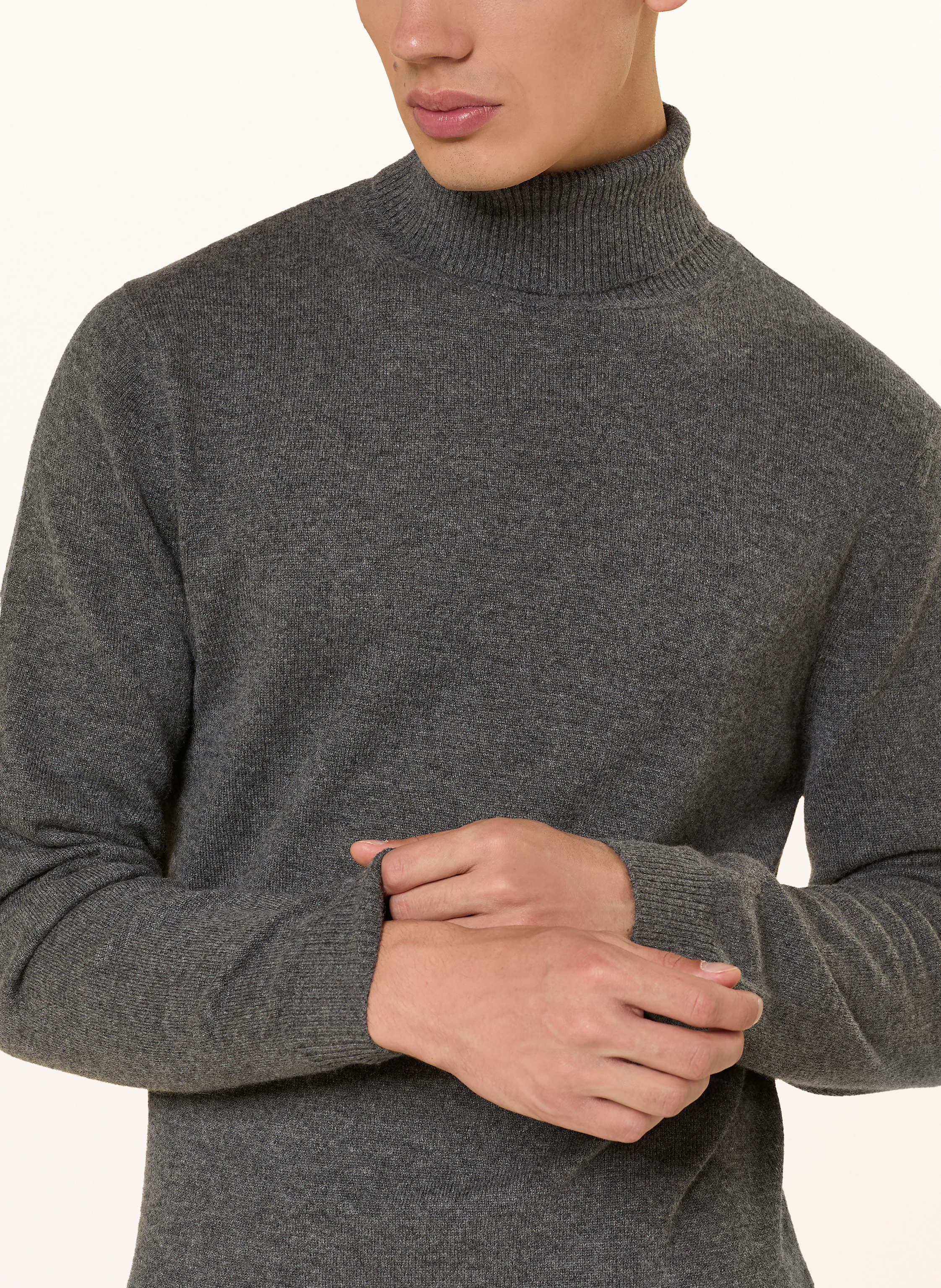 Thumbnail - Daniele Fiesoli Rollkragenpullover Aus Cashmere grau