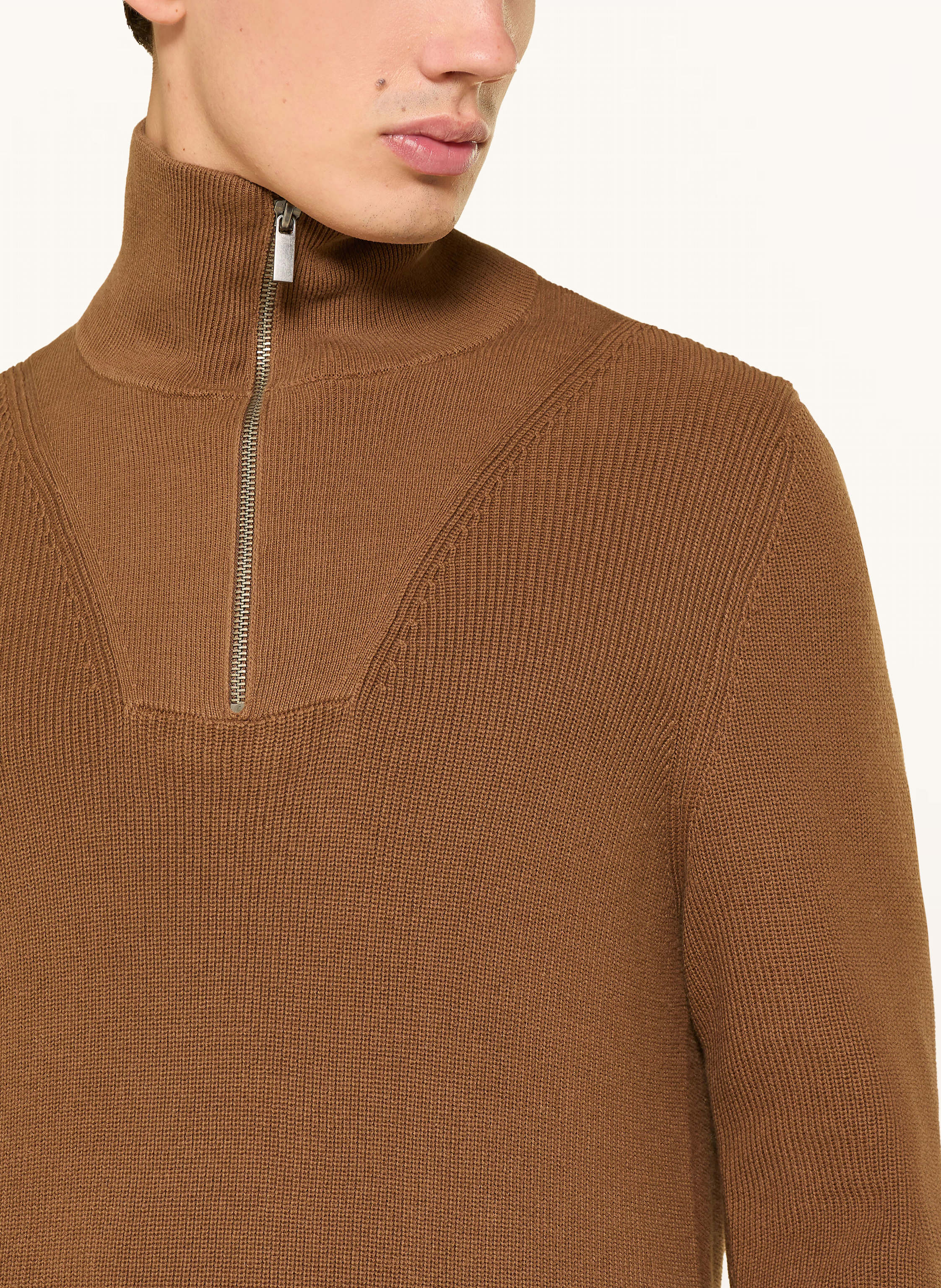 Thumbnail - Paul Troyer braun