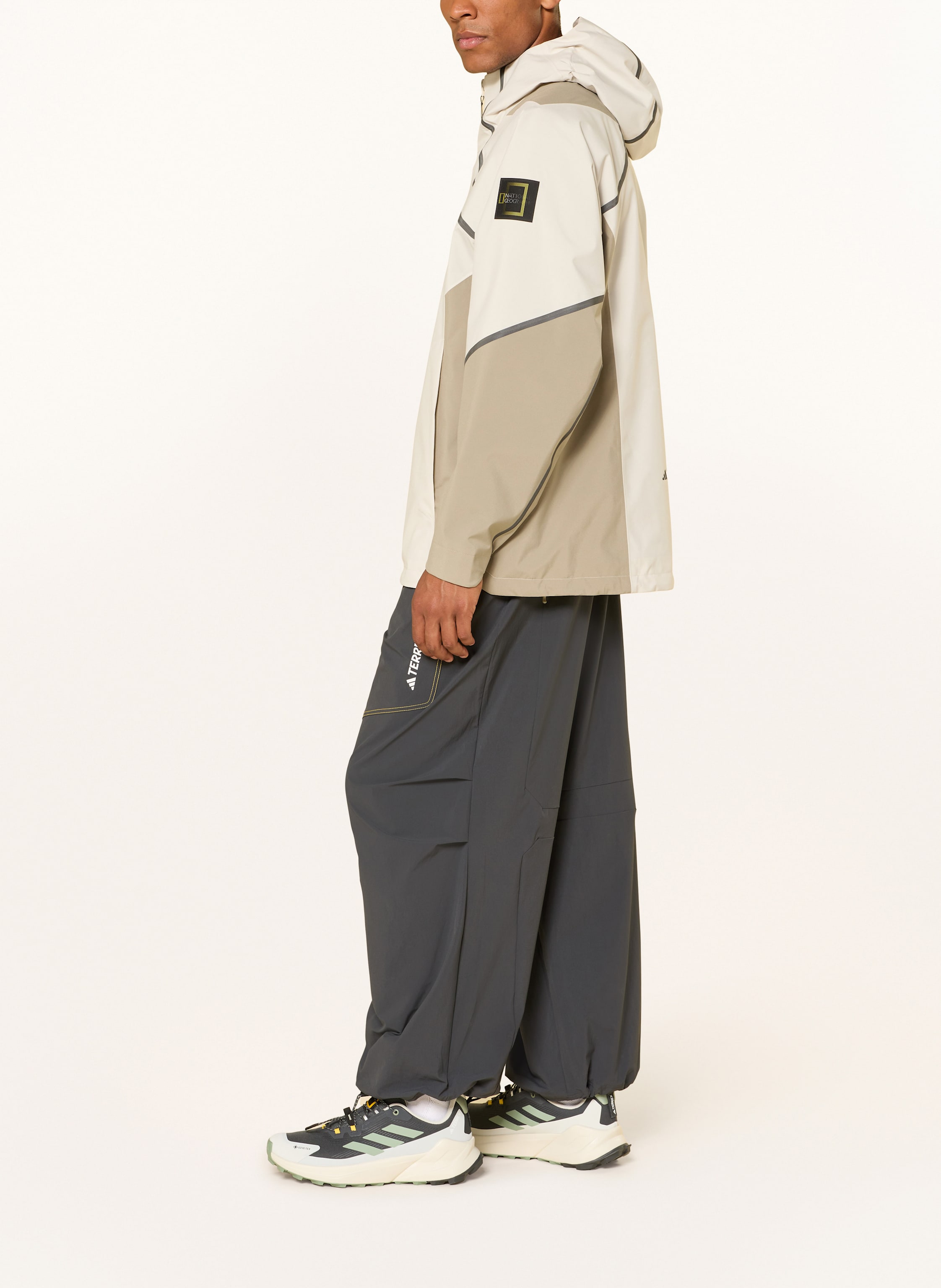 Thumbnail - Adidas Terrex Trekkinghose National Geographic grau