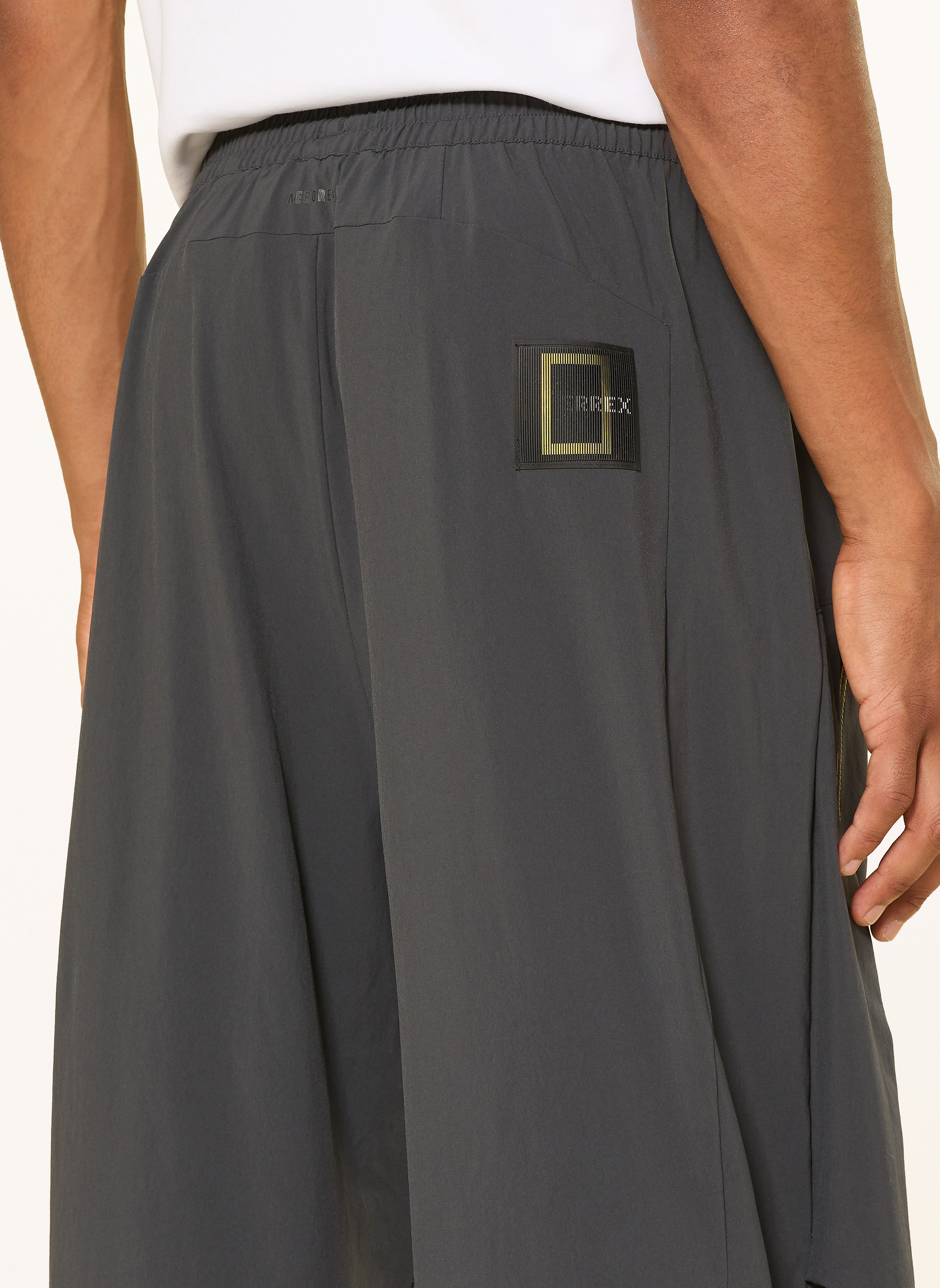 Thumbnail - Adidas Terrex Trekkinghose National Geographic grau