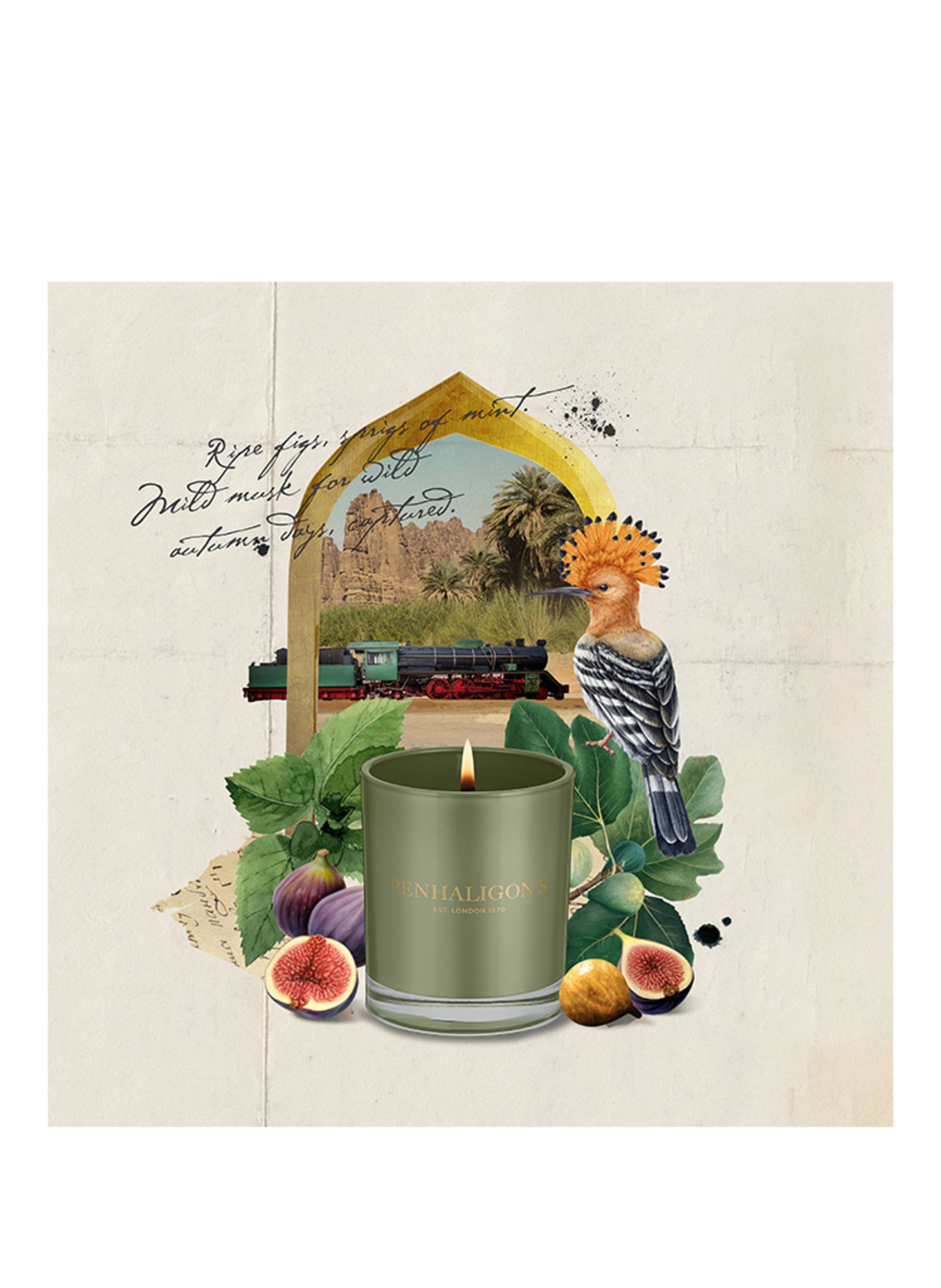 Thumbnail - Penhaligon's Tabuk Harvest Duftkerze 200 g