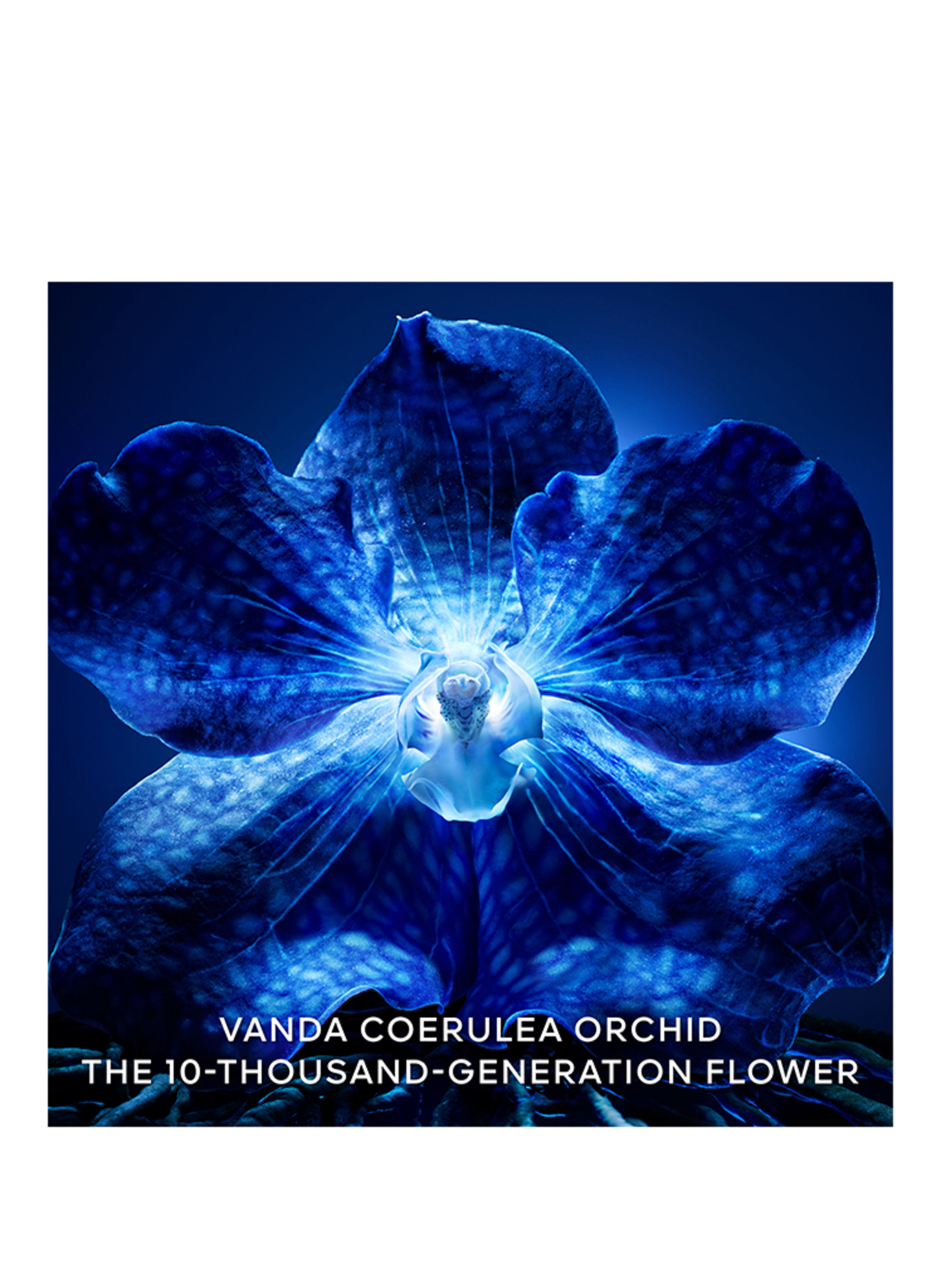 Thumbnail - Guerlain Orchidée Impériale Longevity Refill Reichhaltige Tagescreme 50 ml