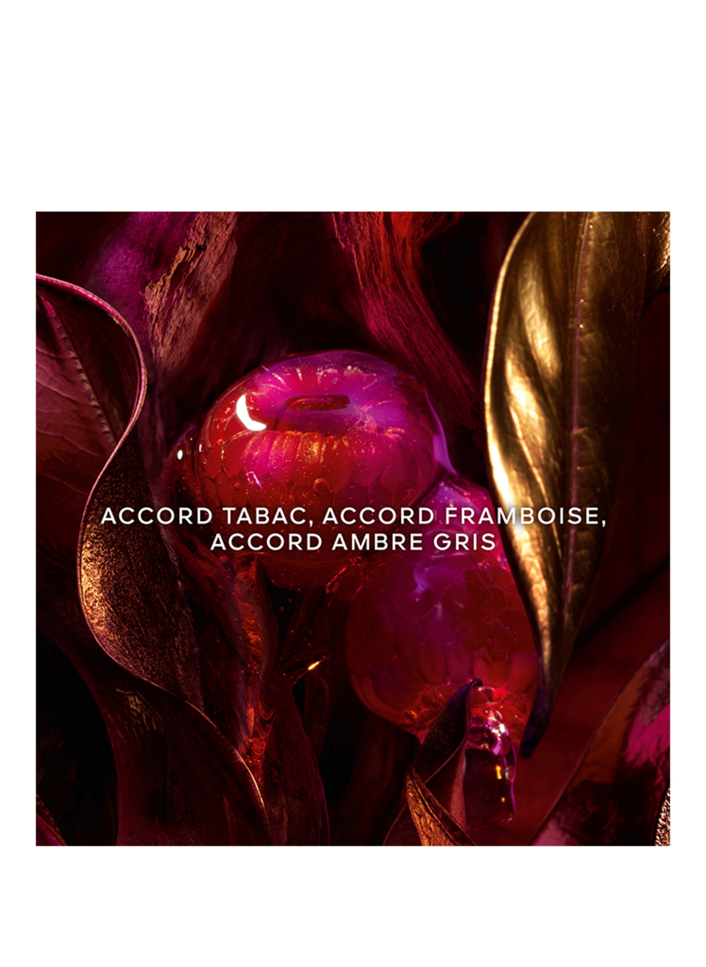 Thumbnail - Guerlain Absolus Allegoria Tabac Sahara Eau de Parfum 75 ml