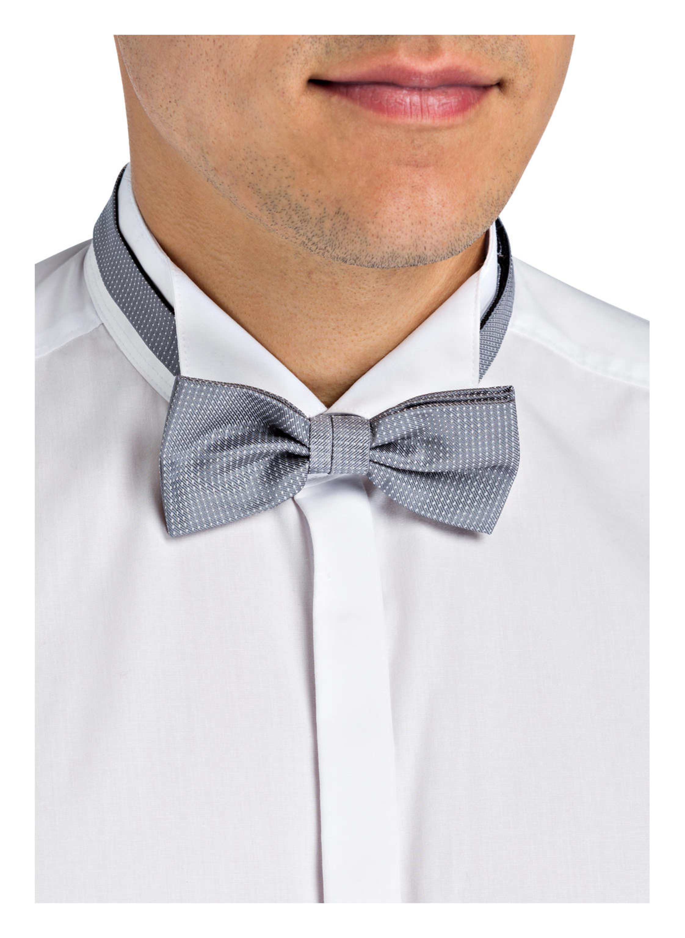 Thumbnail - Paul Fliege grau