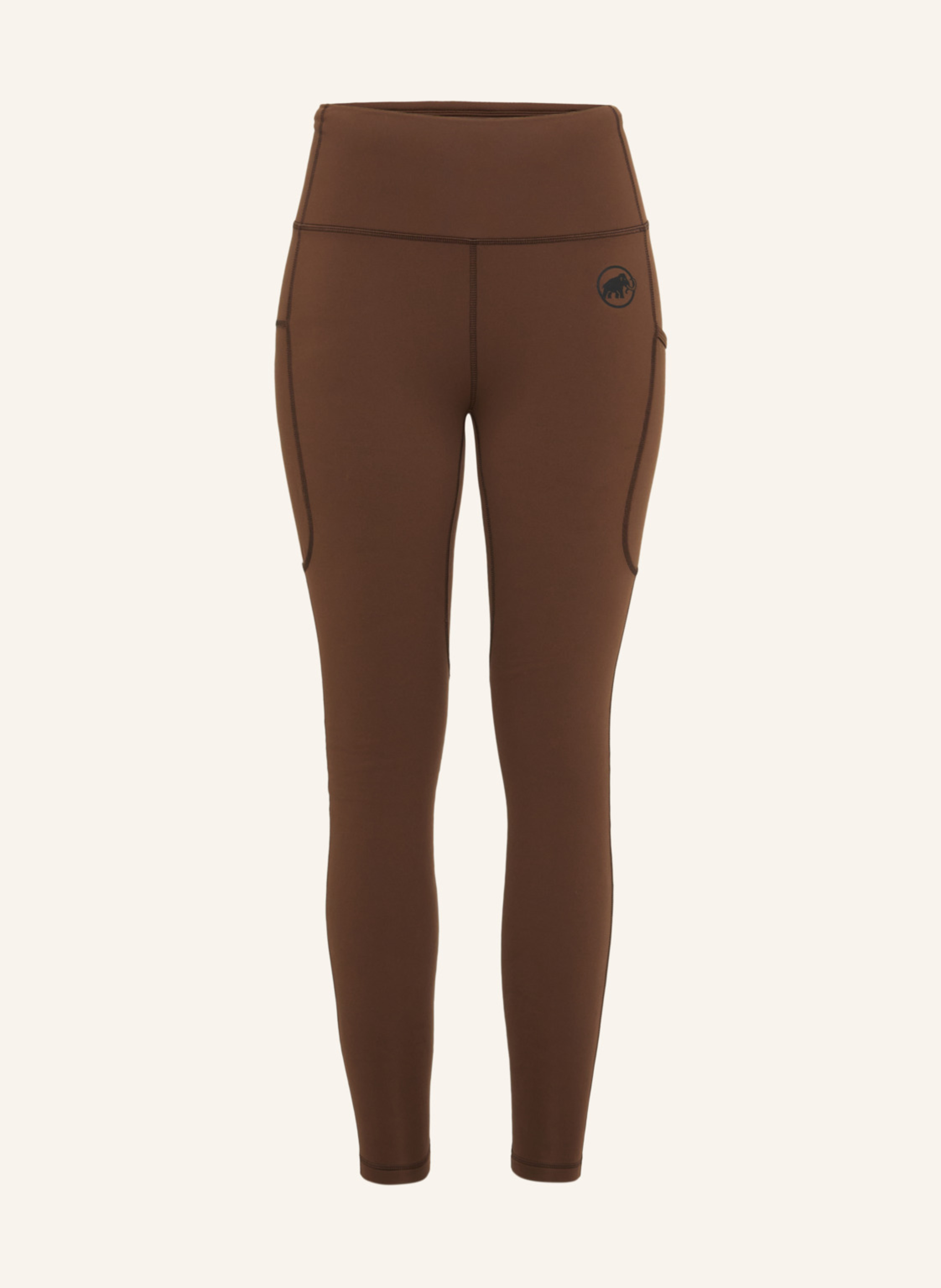 Mammut Tights Crag Winter braun