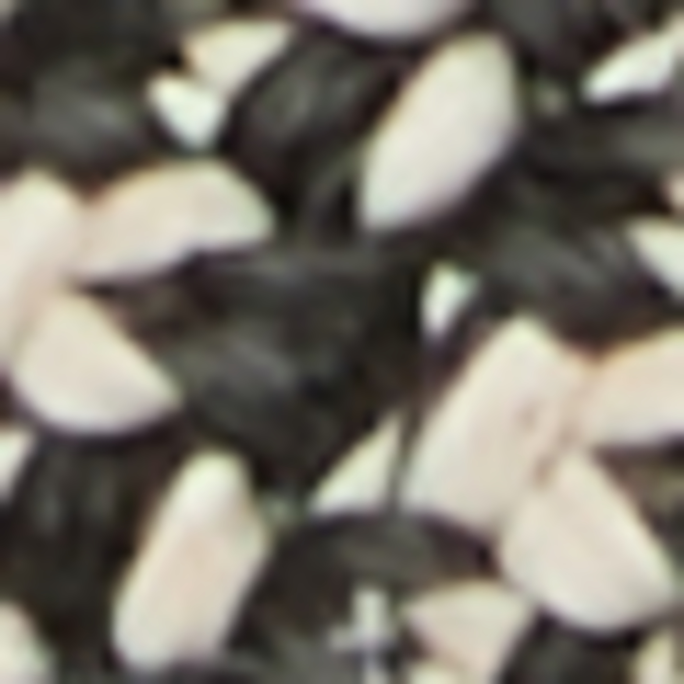 Thumbnail - Karl Lagerfeld Sandalen schwarz