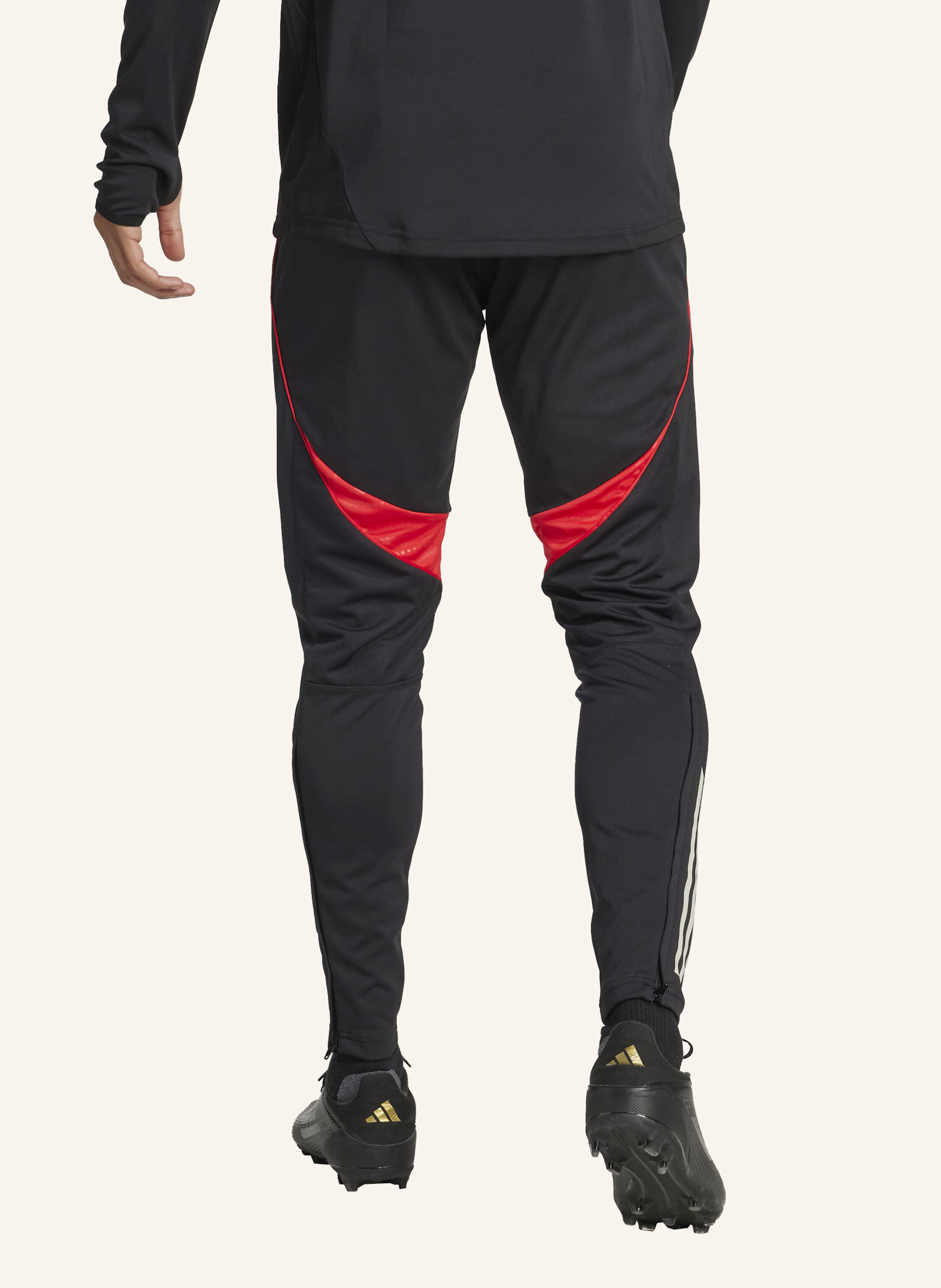 Thumbnail - Adidas Benfica Lissabon Tiro 25 Competition Trainingshose schwarz