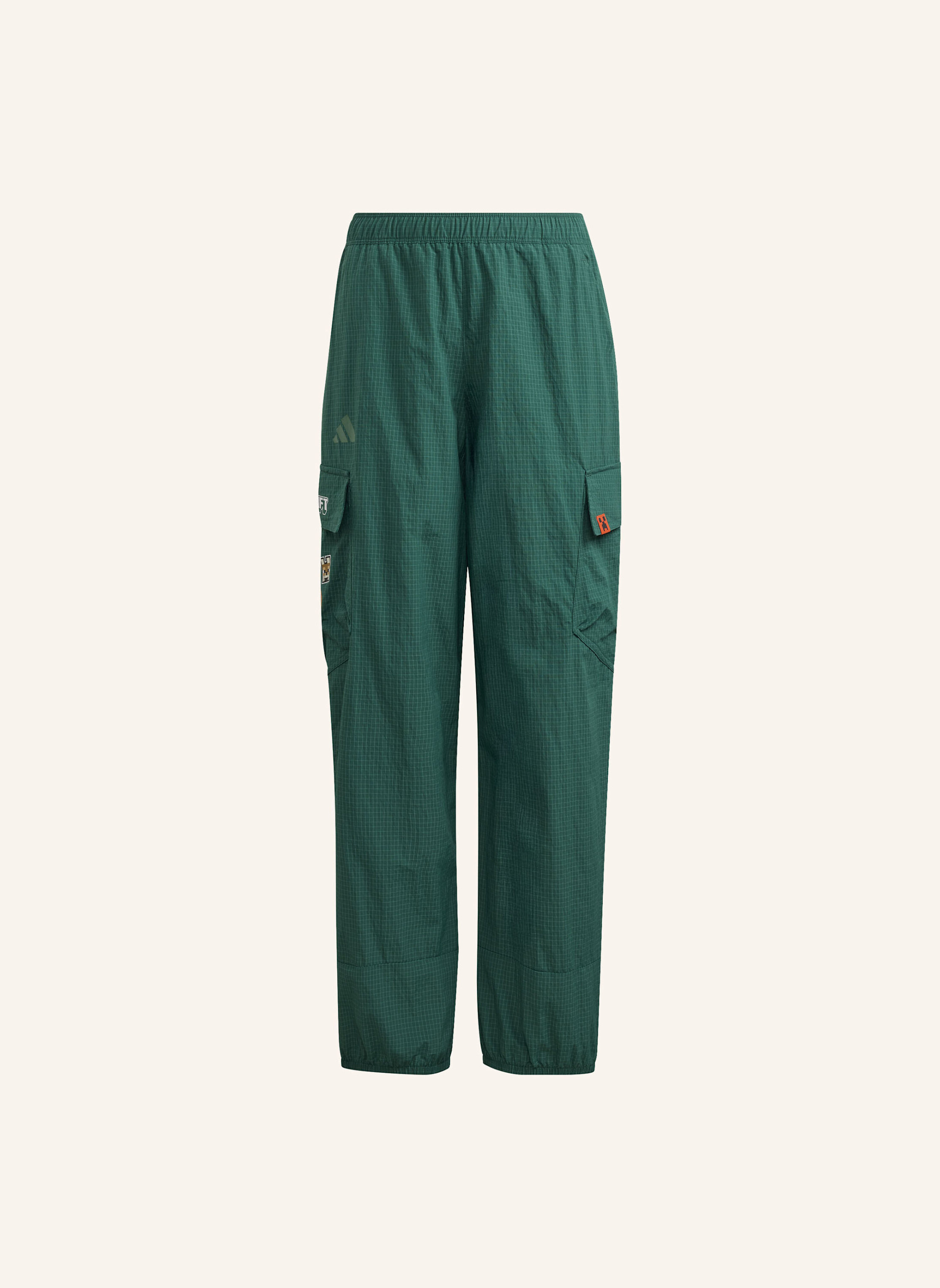 Adidas Terrex Adidas Minecraft Terrex clima365 Kids Cargohose gruen