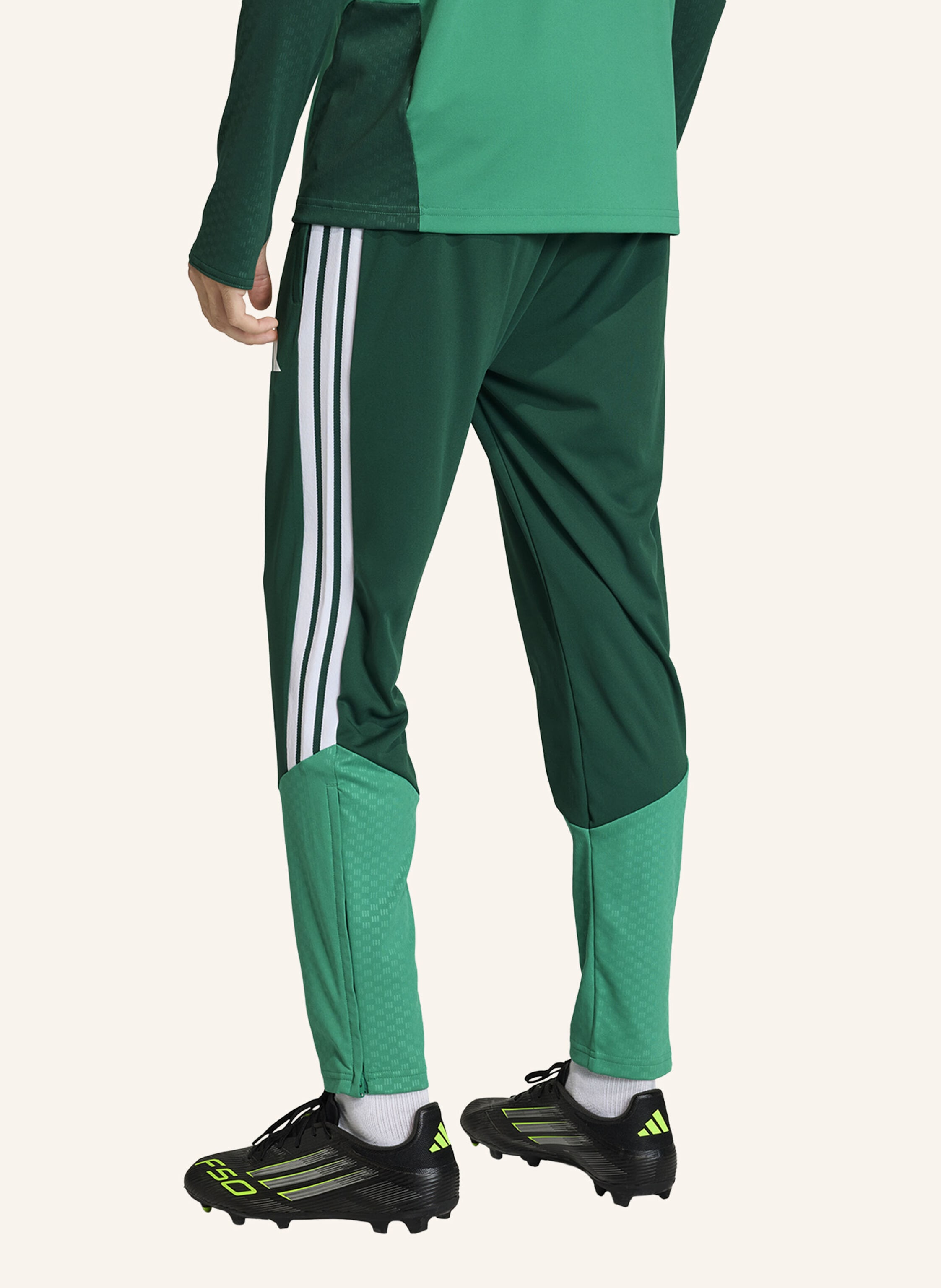 Thumbnail - Adidas Algerien 26 Trainingshose gruen