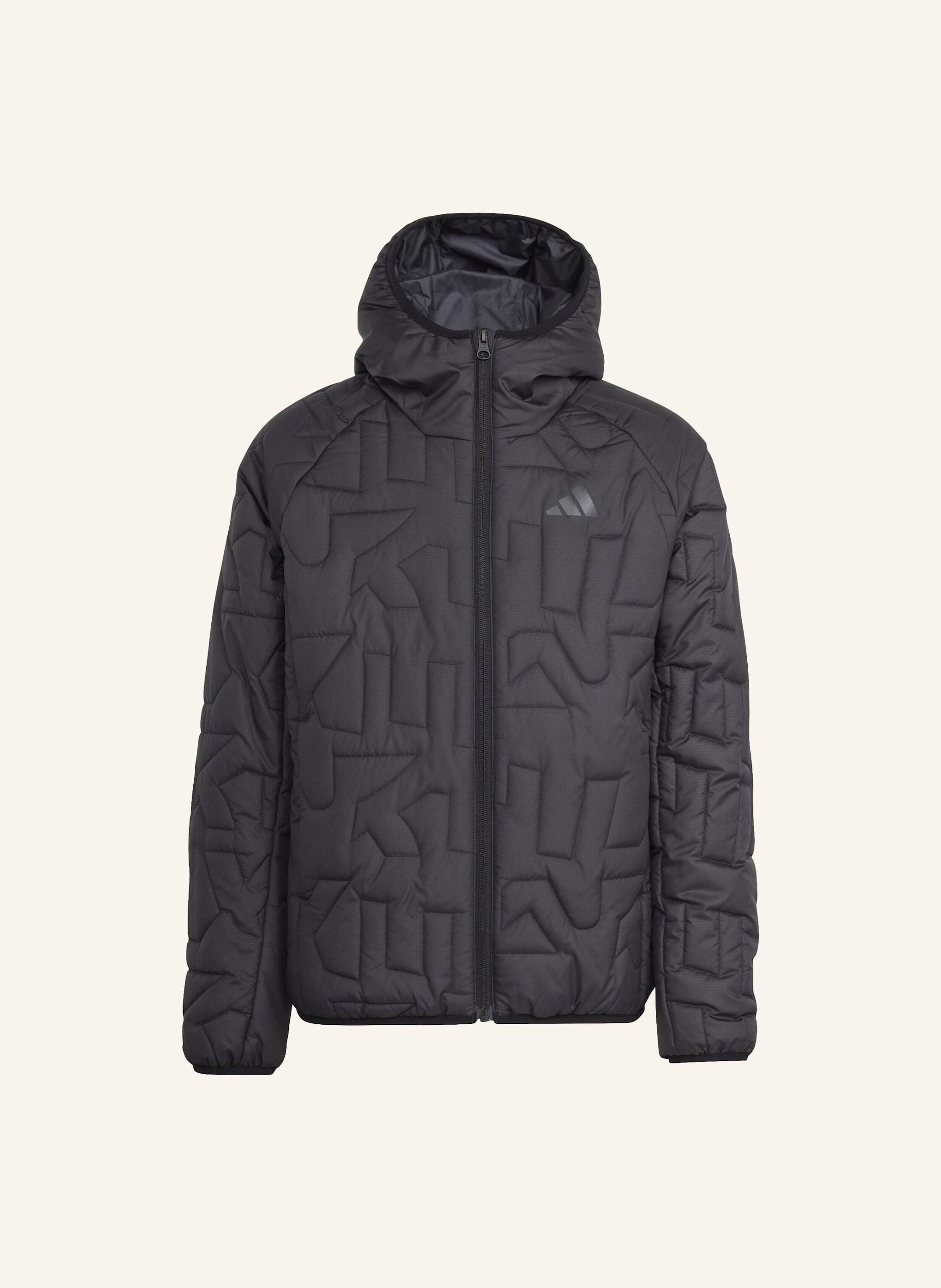 Adidas Terrex Terrex Kids Xperior Climawarm Gefütterte Jacke schwarz