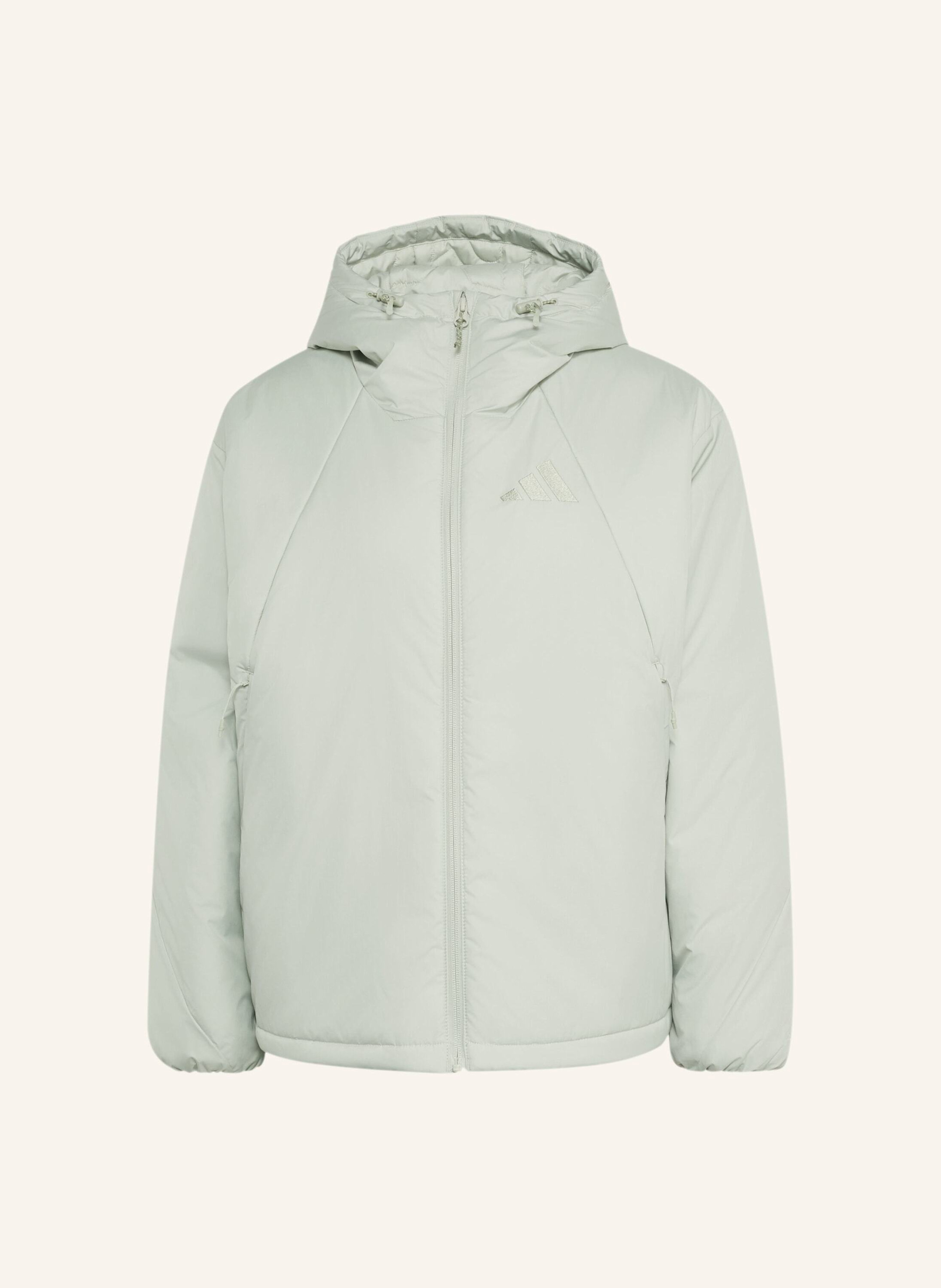 Adidas Terrex Terrex Multi Primaloft Isolierte Kapuzenjacke gruen
