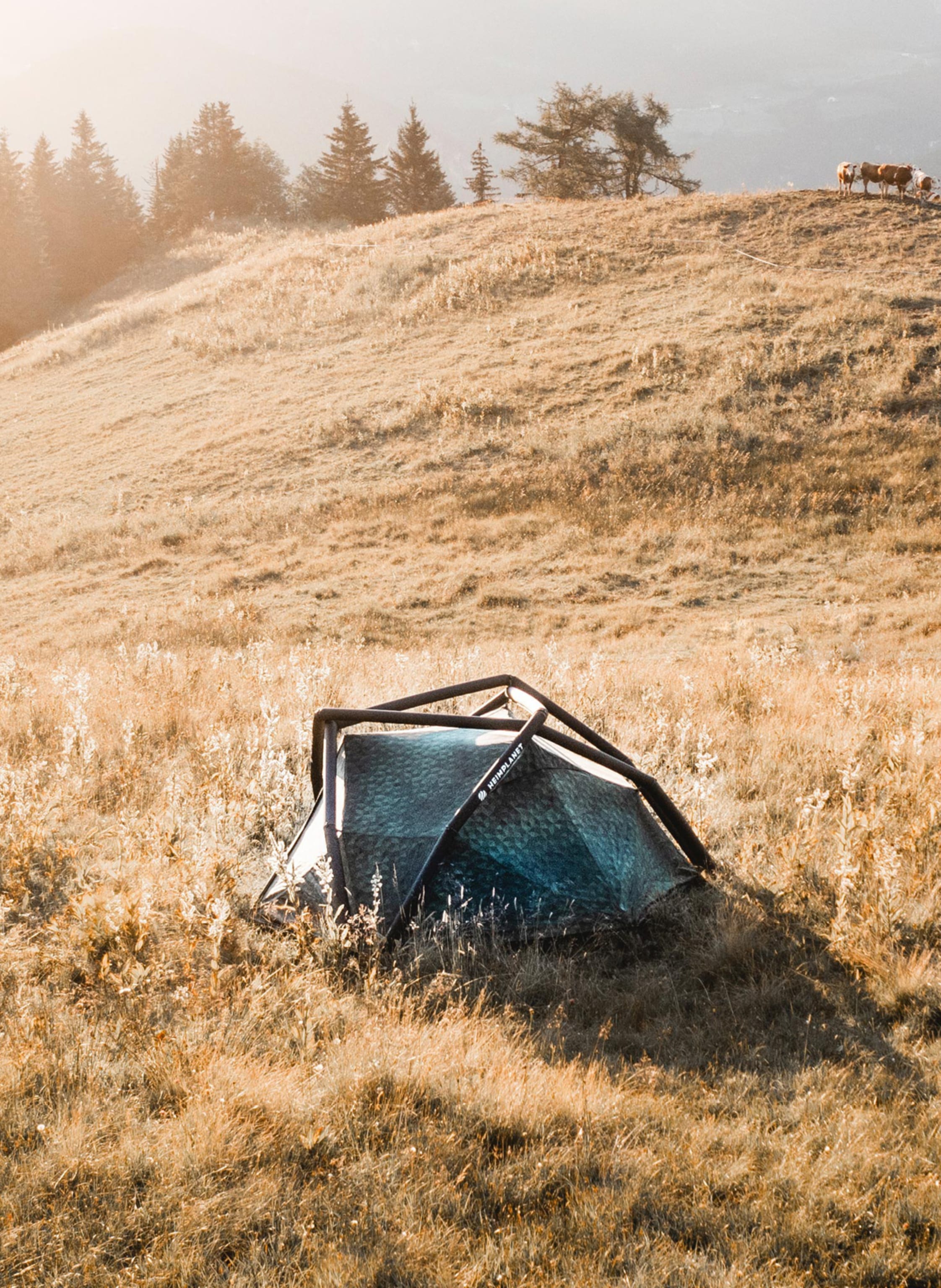 Thumbnail - Heimplanet Zelt Kirra Cairo Camo gruen