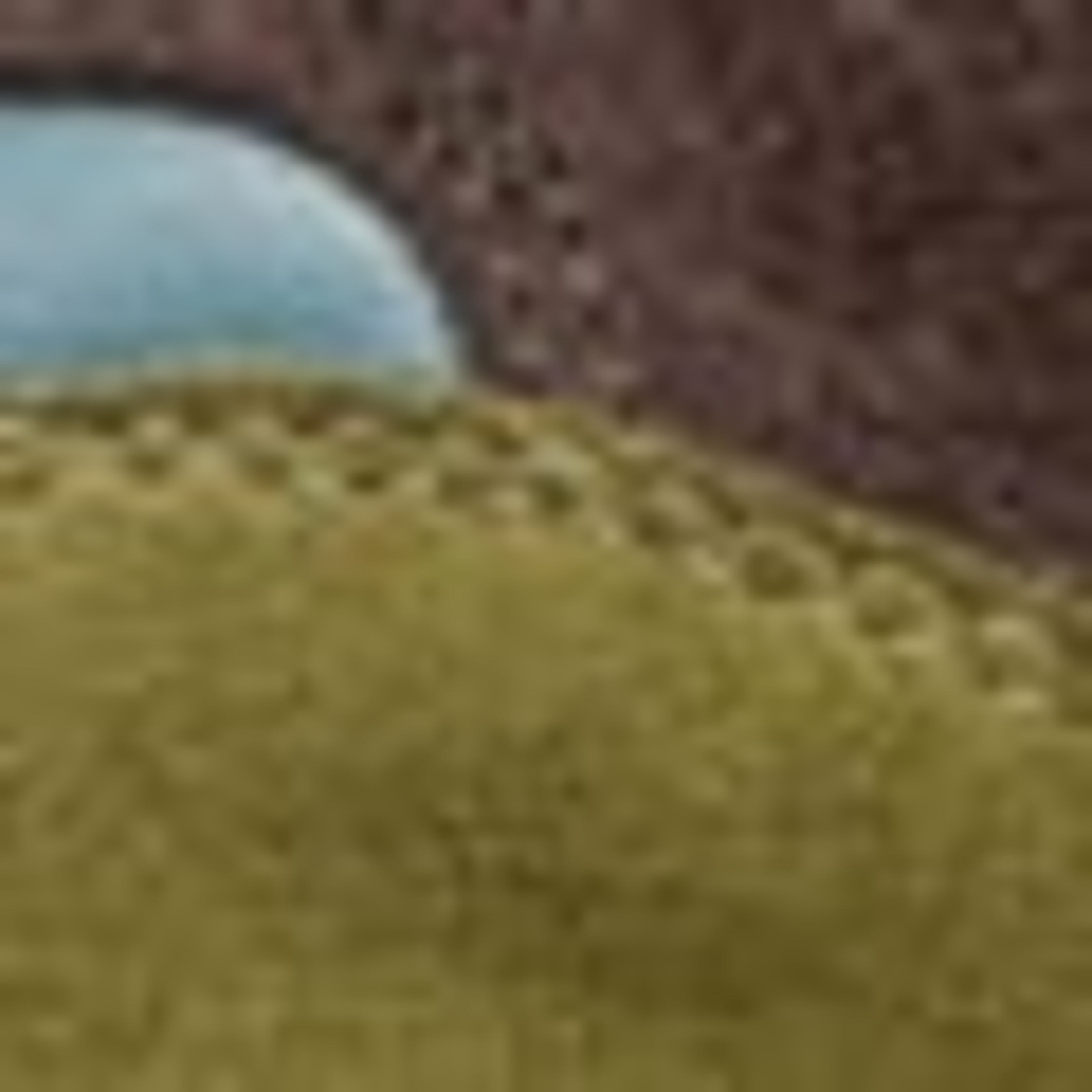 Thumbnail - Floris Van Bommel Sneaker De Gripper 01 braun