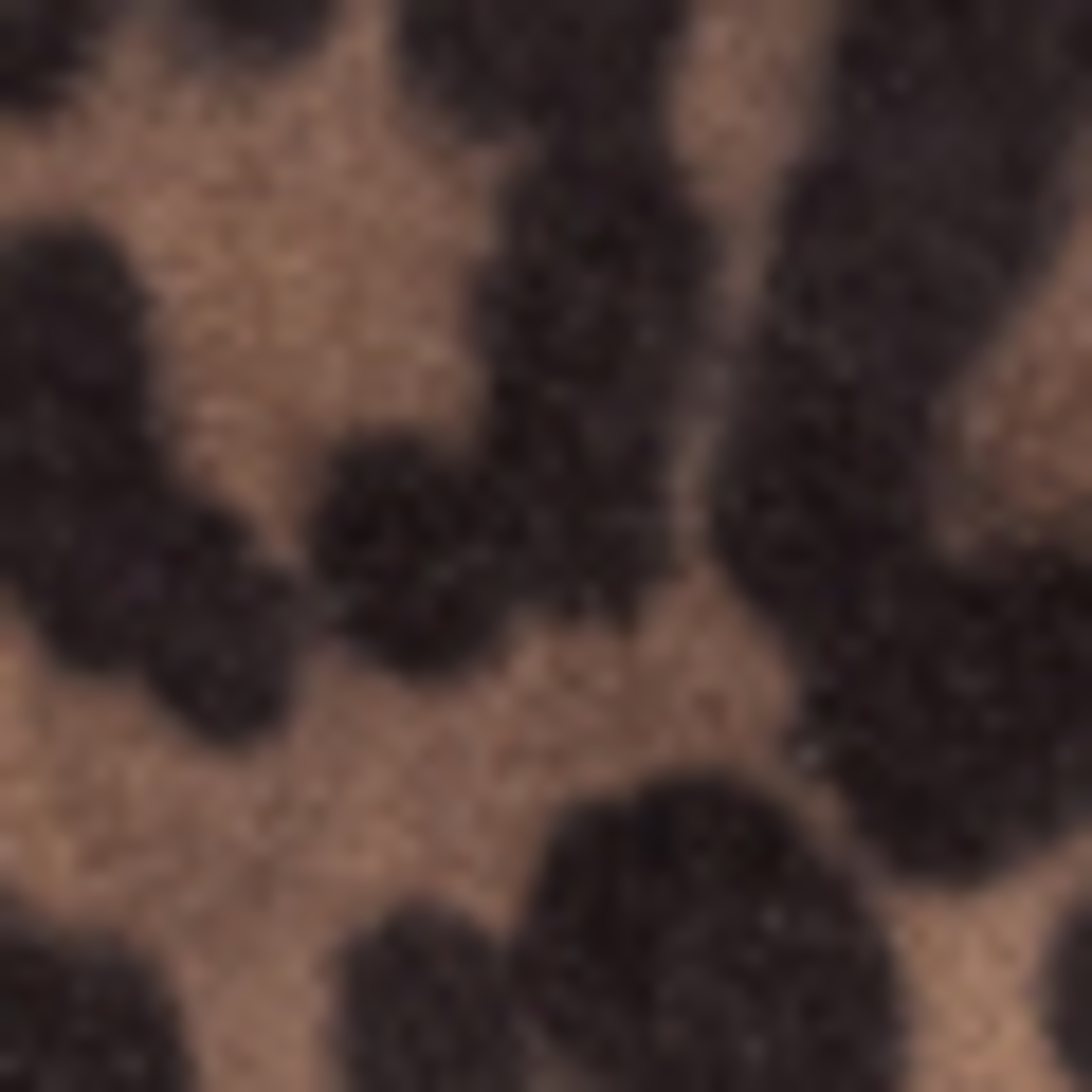 Thumbnail - Floris Van Bommel Stiefelette Evi 05 beige