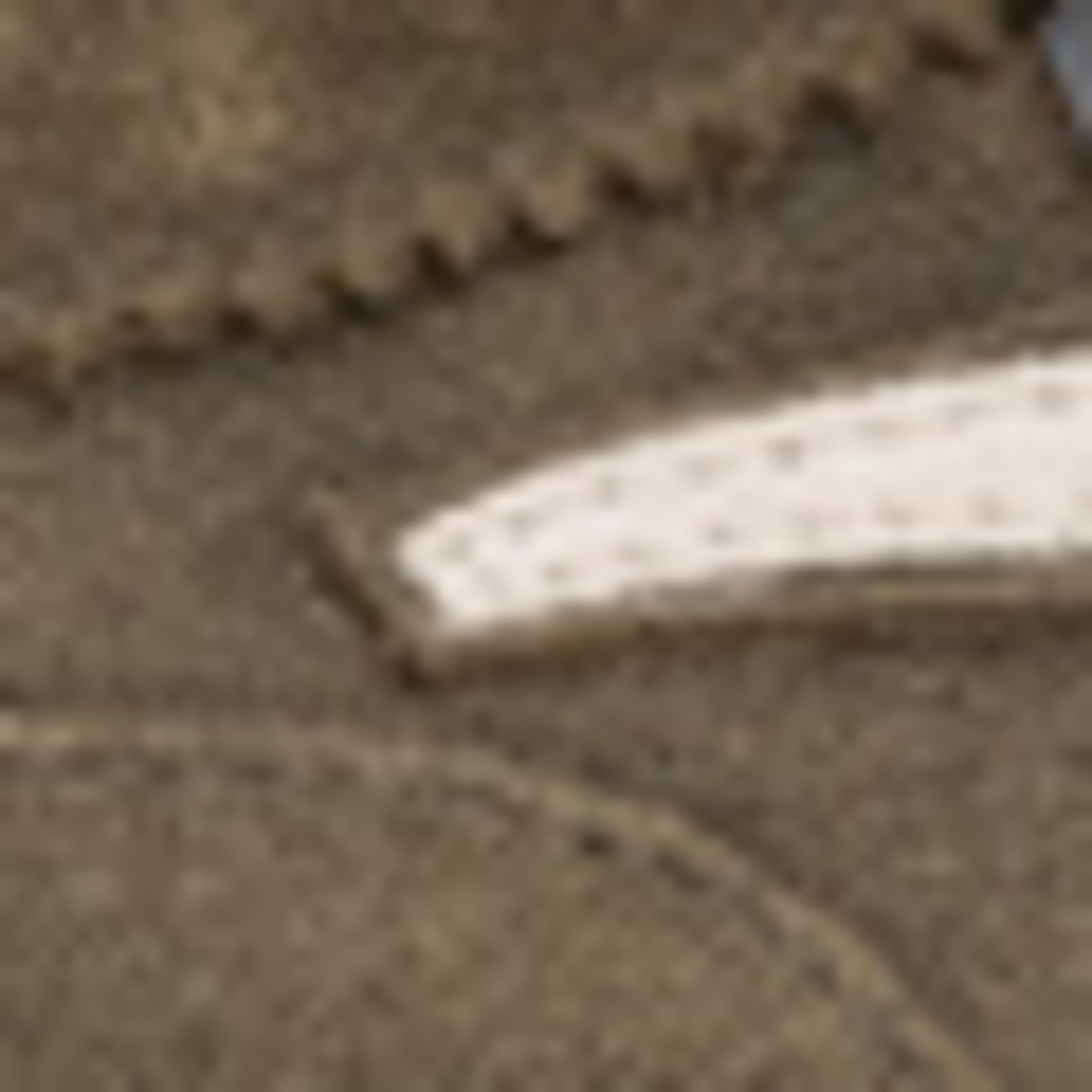 Thumbnail - Floris Van Bommel Sneaker De Zaler 01 gruen