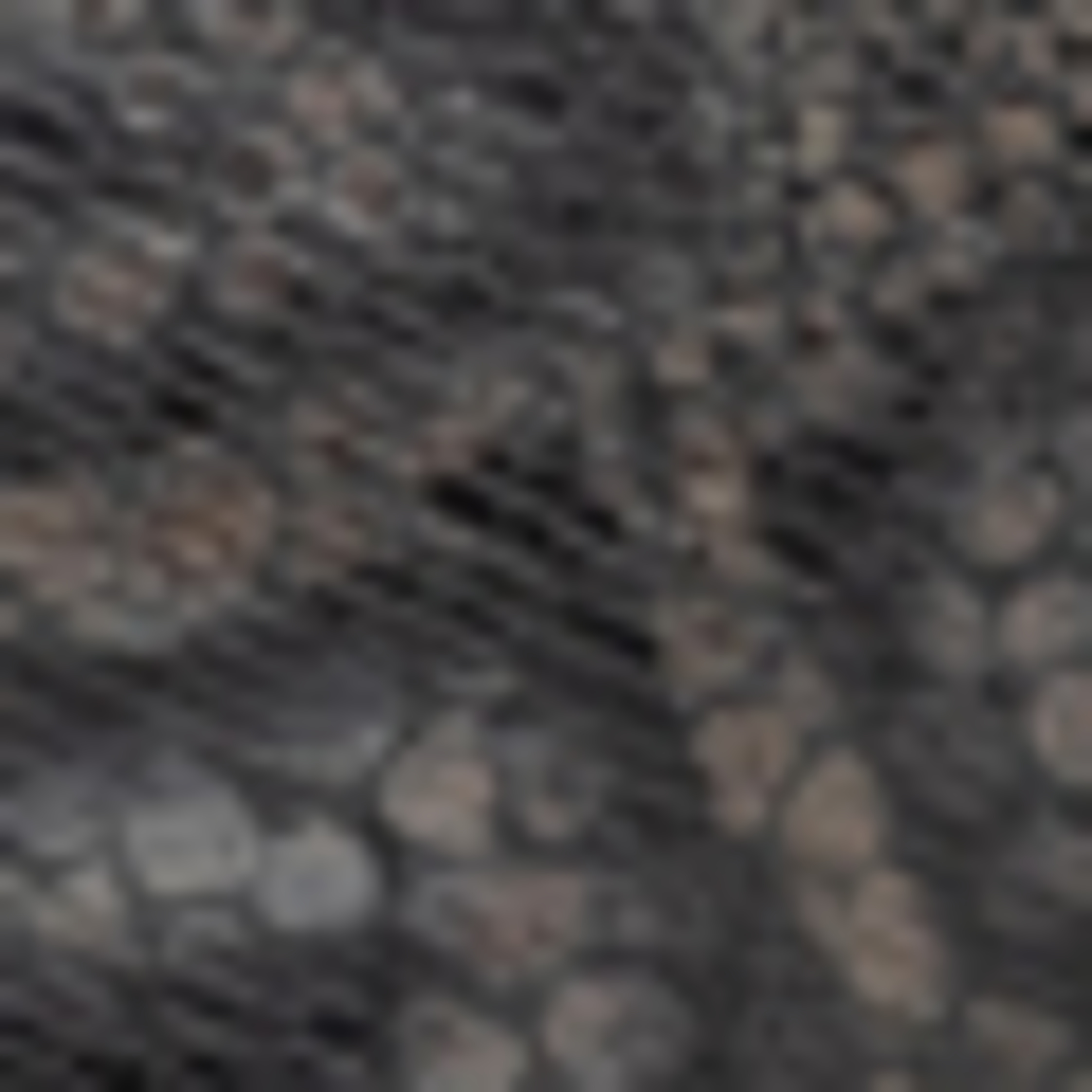 Thumbnail - Floris Van Bommel Stiefel Lusi 04 beige