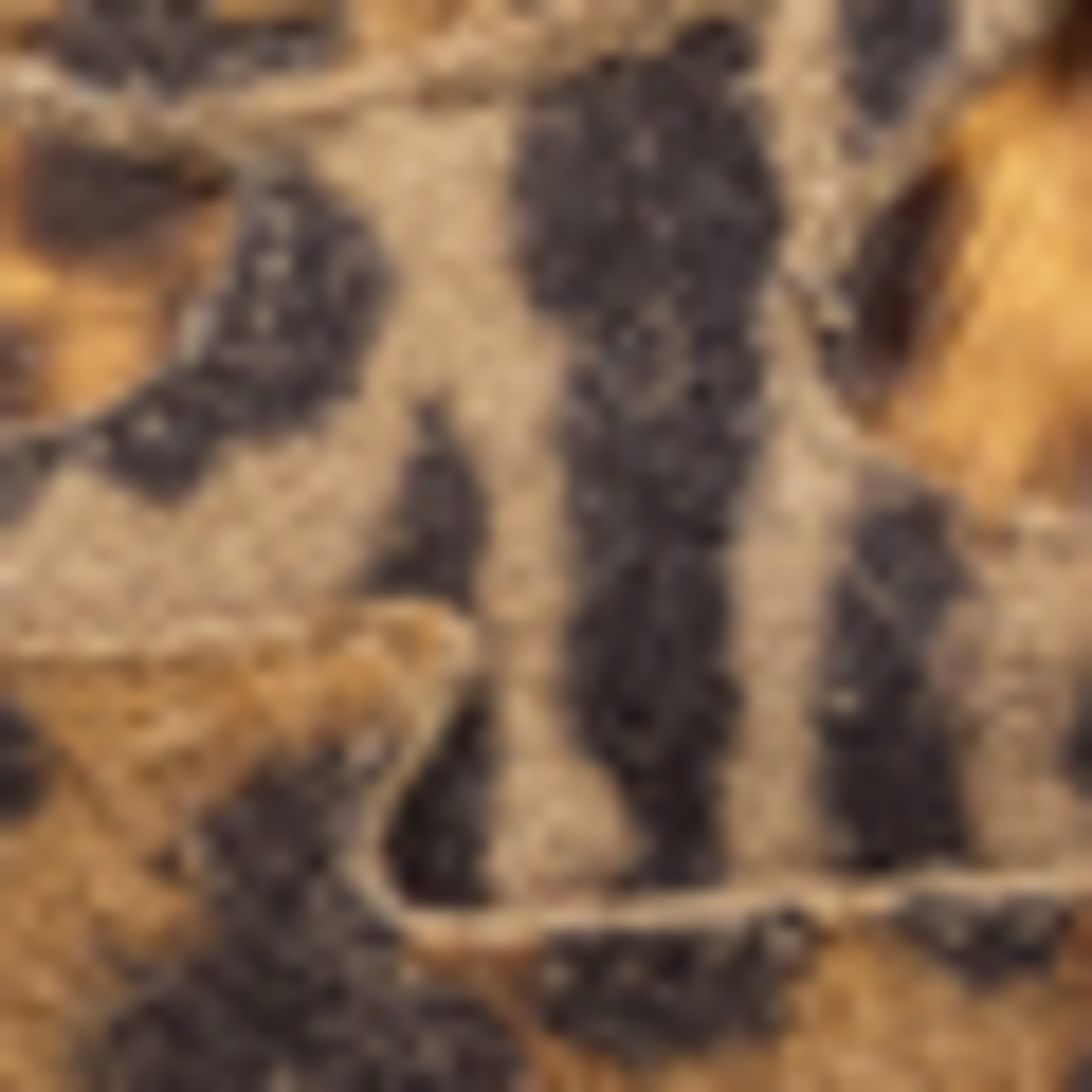 Thumbnail - Floris Van Bommel Sneaker Grommi 04 braun