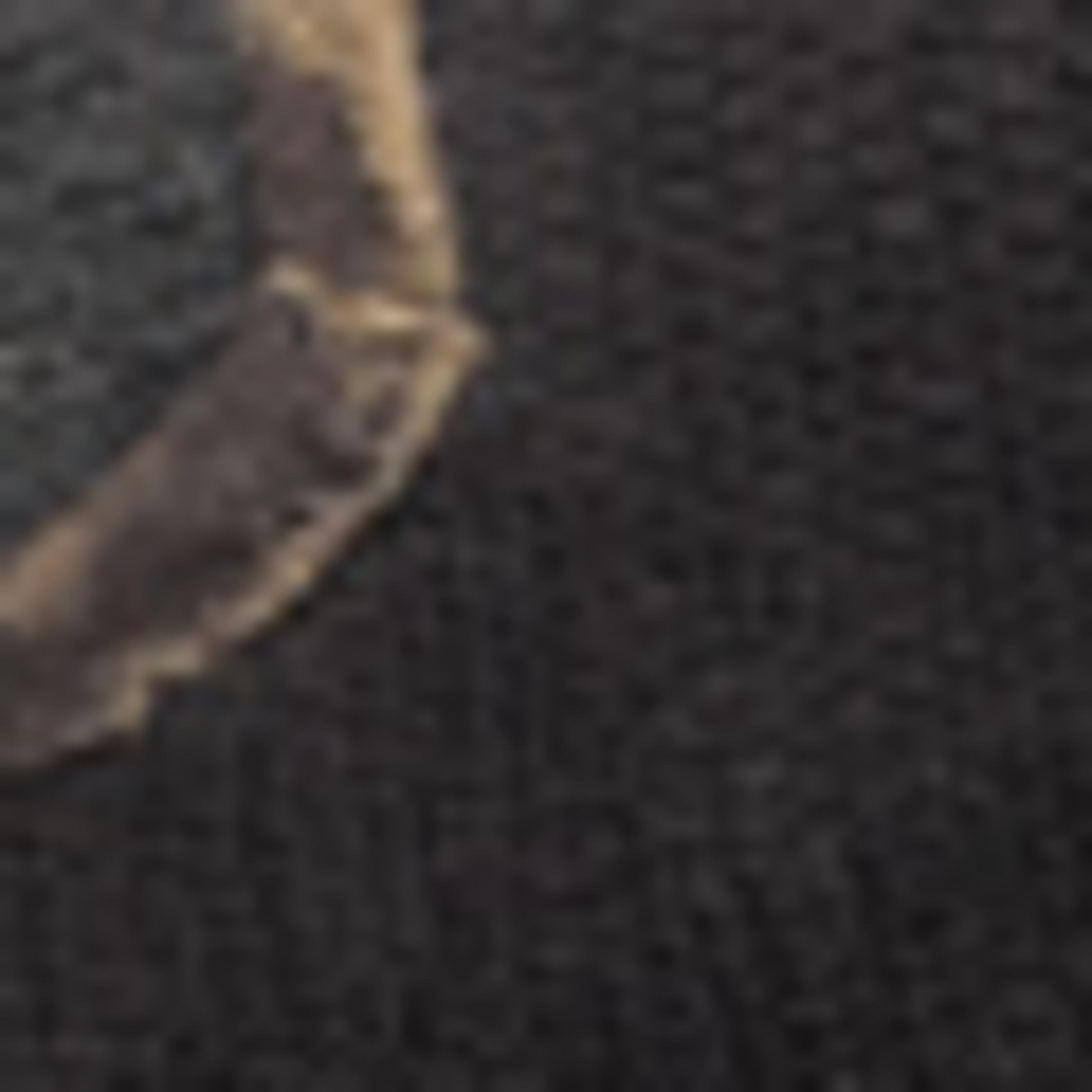 Thumbnail - Floris Van Bommel Lace Shoe Selsi 04 schwarz