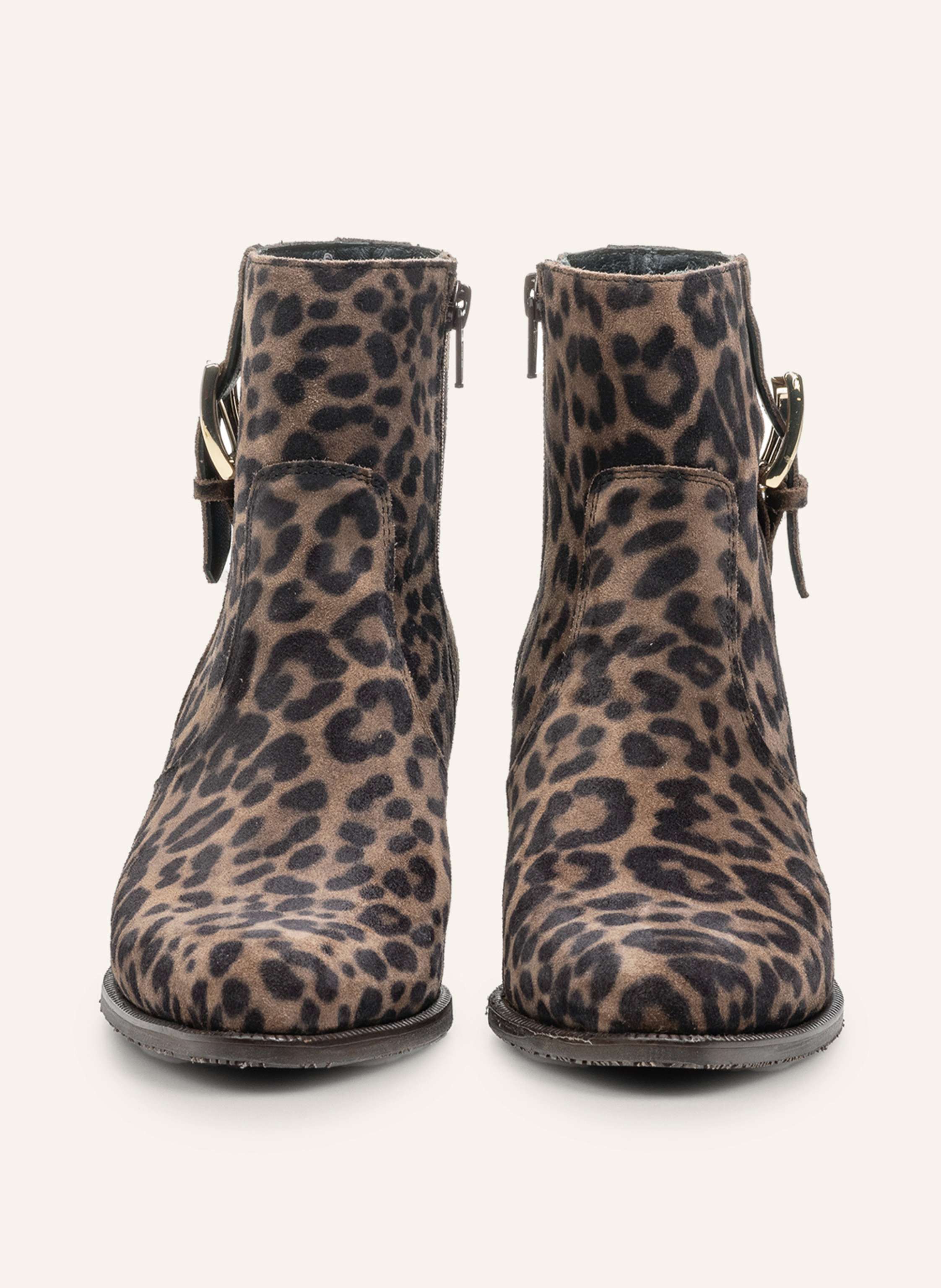 Thumbnail - Floris Van Bommel Stiefelette Evi 05 beige