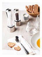PEUGEOT Pepper grinder DAMAN U SELECT, Color: TRANSPARENT/ SILVER (Image 1)