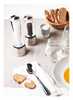 PEUGEOT Salt grinder DAMAN U SELECT, Color: TRANSPARENT/ SILVER (Image 1)