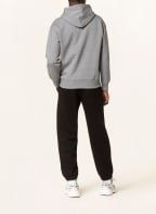 Champion Hoodie, Farbe: GRAU (Bild 1)