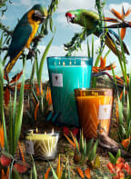 Baobab COLLECTION Duftkerze PALMA, Farbe: ORANGE (Bild 1)