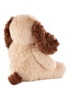 Steiff Hund-Kuscheltier PEPPI WELPE, Farbe: CREME (Bild 1)