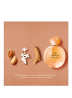 GIORGIO ARMANI BEAUTY TERRA DI GIOIA (Bild 1)