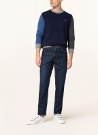 POLO RALPH LAUREN Pullover, Farbe: DUNKELBLAU/ BLAU/ DUNKELGRAU (Bild 1)