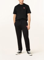 AXEL ARIGATO T-Shirt ROGUE BEE BIRD, Farbe: SCHWARZ (Bild 1)