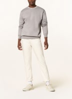 DAILY PAPER Sweatshirt ERIB, Farbe: GRAU (Bild 1)