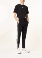 adidas Sweatpants ESSENTIALS, Farbe: SCHWARZ (Bild 1)