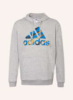 adidas Hoodie ESSENTIALS, Farbe: GRAU (Bild 1)