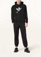 adidas Originals Hoodie ADICOLOR, Farbe: SCHWARZ (Bild 1)