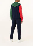 LACOSTE Sweatjacke, Farbe: DUNKELBLAU/ GRÜN/ ROT (Bild 1)