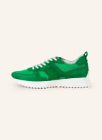KENNEL & SCHMENGER Sneakers PULL, Color: GREEN (Image 1)