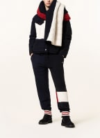 TOMMY HILFIGER Scarf, Color: DARK BLUE/ DARK RED/ WHITE (Image 1)