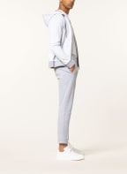 DORIANI Sweatjacke , Farbe: GRAU/ HELLGRAU (Bild 1)