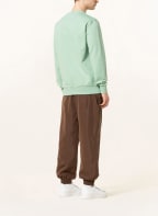 DAILY PAPER Sweatshirt ERIB, Farbe: HELLGRÜN (Bild 1)