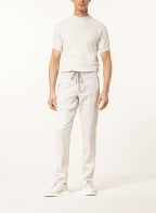 BALDESSARINI Hose JANNO im Jogging-Stil Contemporary Fit mit Leinen, Farbe: HELLGRAU (Bild 1)