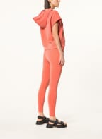 TOMMY HILFIGER Leggings, Farbe: LACHS (Bild 1)