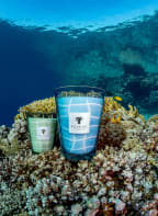 Baobab COLLECTION Duftkerze BELHARRA, Farbe: HELLROSA/ HELLBLAU (Bild 1)