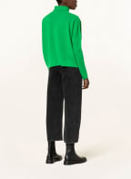 DRYKORN Rollkragenpullover LIORA, Farbe: GRÜN (Bild 1)