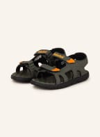 Timberland Sandalen PERKINS ROW, Farbe: OLIV (Bild 1)