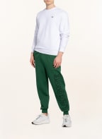 LACOSTE Sweatshirt , Farbe: WEISS (Bild 1)